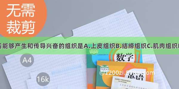 受到刺激后能够产生和传导兴奋的组织是A.上皮组织B.结缔组织C.肌肉组织D.神经组织