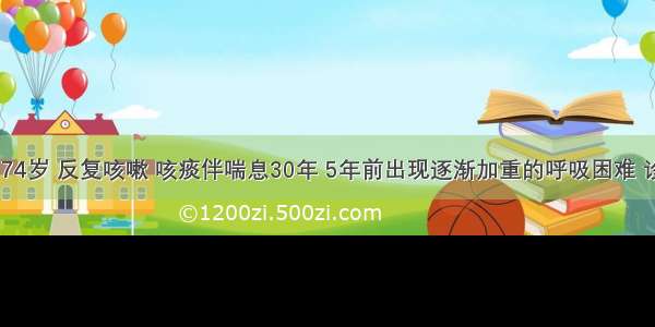 患者男性 74岁 反复咳嗽 咳痰伴喘息30年 5年前出现逐渐加重的呼吸困难 诊断为COP