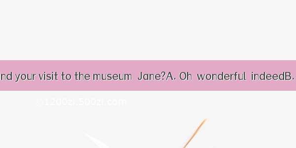 —How did you find your visit to the museum  Jane?A. Oh  wonderful  indeedB. By taking a nu