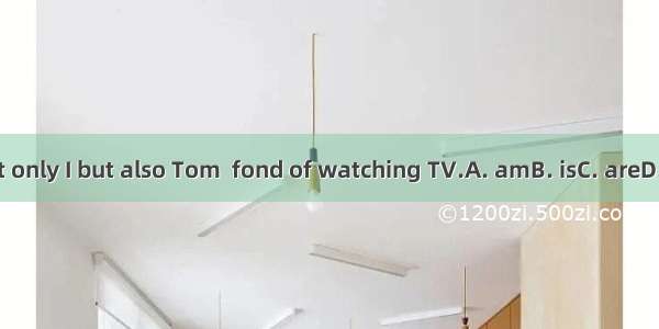 Not only I but also Tom  fond of watching TV.A. amB. isC. areD. be