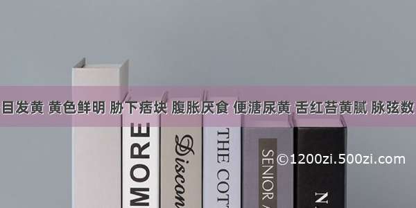 患者身目发黄 黄色鲜明 胁下痞块 腹胀厌食 便溏尿黄 舌红苔黄腻 脉弦数 其证候