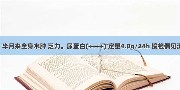 男性 13岁 半月来全身水肿 乏力。尿蛋白(++++) 定量4.0g/24h 镜检偶见沉渣红细胞