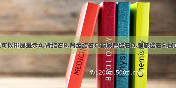 改变体位后又可以排尿提示A.肾结石B.肾盂结石C.输尿管结石D.膀胱结石E.尿道结石ABCDE