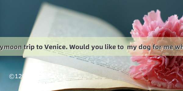 We’ll take a honeymoon trip to Venice. Would you like to  my dog for me while we’re away?A