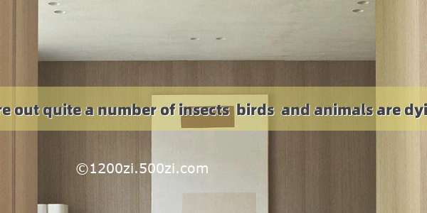 We cannot figure out quite a number of insects  birds  and animals are dying out.A. thatB.