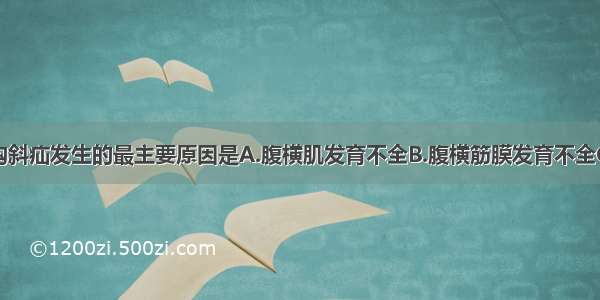 先天性腹股沟斜疝发生的最主要原因是A.腹横肌发育不全B.腹横筋膜发育不全C.腹外斜肌发