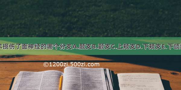 手术损伤了面神经的哪个分支A.颞支B.颧支C.上颊支D.下颊支E.下颌缘支