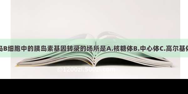 单选题胰岛B细胞中的胰岛素基因转录的场所是A.核糖体B.中心体C.高尔基体D.细胞核