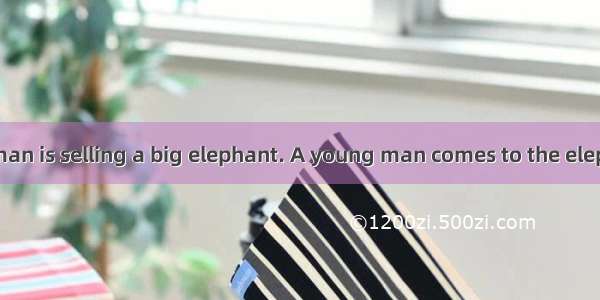 One day an old man is selling a big elephant. A young man comes to the elephant and begins