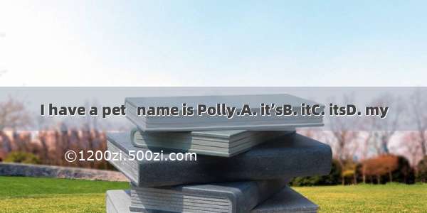 I have a pet   name is Polly.A. it’sB. itC. itsD. my