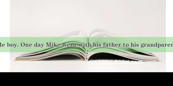 Mike was a little boy. One day Mike went with his father to his grandparents by train. the