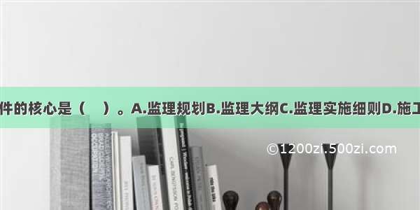 工程监理投标文件的核心是（　）。A.监理规划B.监理大纲C.监理实施细则D.施工组织设计ABCD