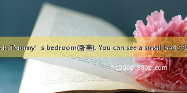 Where are they?This is Tommy’s bedroom(卧室). You can see a small bed 55the room. There’s a