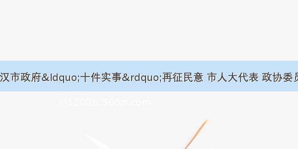 12月16日 武汉市政府“十件实事”再征民意 市人大代表 政协委员 市民代表和