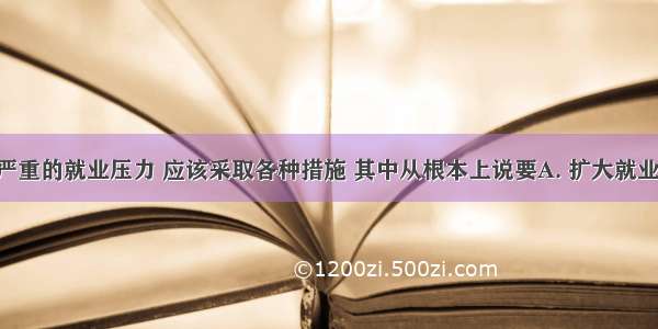 面对我国严重的就业压力 应该采取各种措施 其中从根本上说要A. 扩大就业规模B. 完