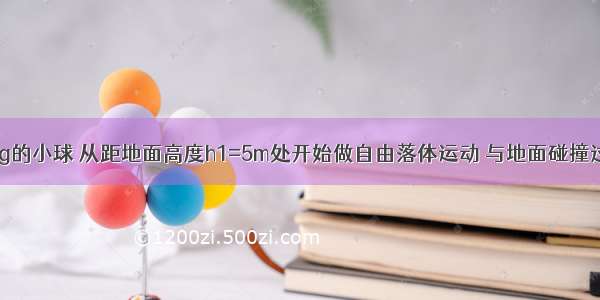 质量为m=1kg的小球 从距地面高度h1=5m处开始做自由落体运动 与地面碰撞过程中没有动