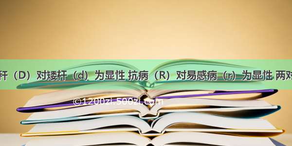 假如水稻高秆（D）对矮杆（d）为显性 抗病（R）对易感病（r）为显性 两对性状独立遗