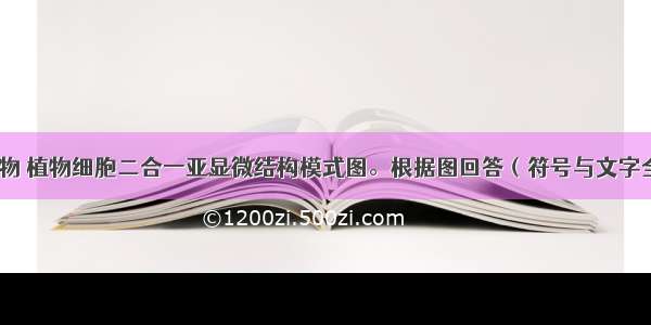 下图表示动物 植物细胞二合一亚显微结构模式图。根据图回答（符号与文字全对才给分）