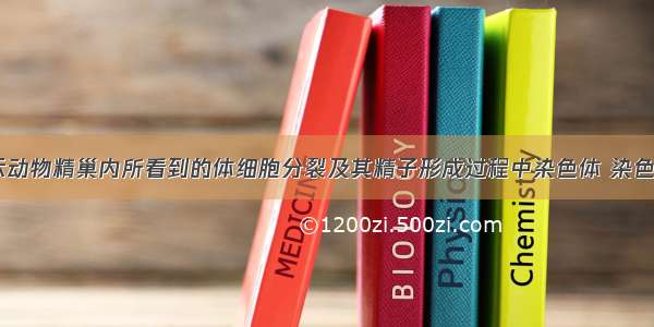 下面A图表示动物精巢内所看到的体细胞分裂及其精子形成过程中染色体 染色单体 DNA数