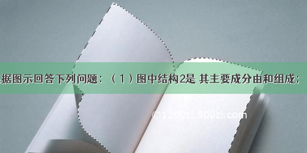 （12分）根据图示回答下列问题：（1）图中结构2是 其主要成分由和组成；（2）提供细