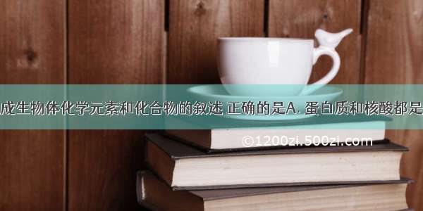 下列有关组成生物体化学元素和化合物的叙述 正确的是A. 蛋白质和核酸都是含有氮元素