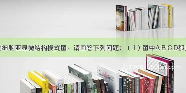 右图为植物细胞亚显微结构模式图。请回答下列问题：（1）图中A B C D都具有膜结构