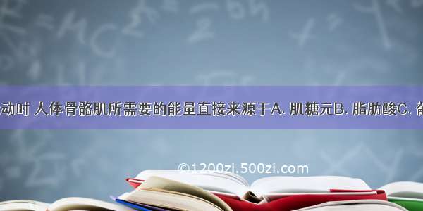 在剧烈运动时 人体骨骼肌所需要的能量直接来源于A. 肌糖元B. 脂肪酸C. 葡萄糖D. 