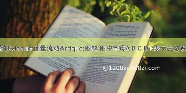 下图某生态系统的“能量流动”图解 图中字母A B C D E表示生态系统的成分 字母a