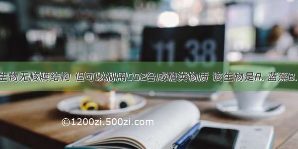 某单细胞生物无核膜结构 但可以利用CO2合成糖类物质 该生物是A. 蓝藻B. 变形虫C.