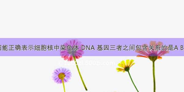 下图能正确表示细胞核中染色体 DNA 基因三者之间包含关系的是A B C D