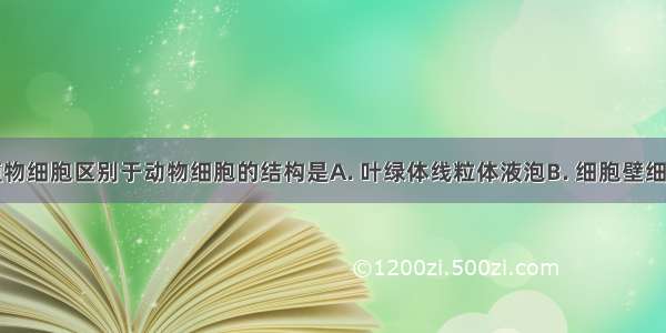 高等植物细胞区别于动物细胞的结构是A. 叶绿体　线粒体　液泡B. 细胞壁　细胞膜　液