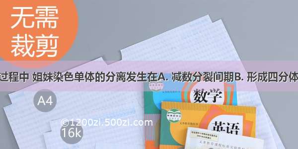 减数分裂过程中 姐妹染色单体的分离发生在A. 减数分裂间期B. 形成四分体时C. 减数