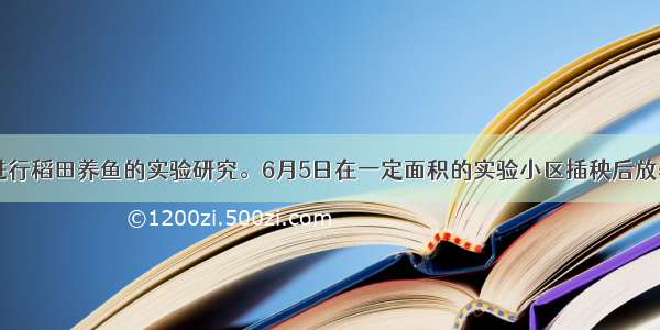 在江苏某地进行稻田养鱼的实验研究。6月5日在一定面积的实验小区插秧后放养300条小鲫