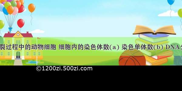 处于有丝分裂过程中的动物细胞 细胞内的染色体数(a) 染色单体数(b) DNA分子数(c)可