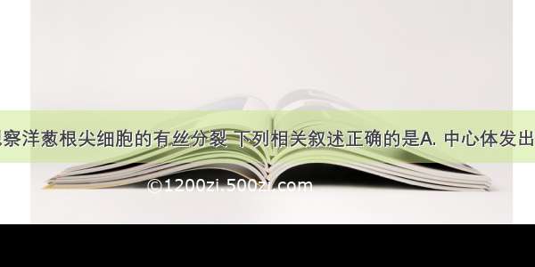 用高倍镜观察洋葱根尖细胞的有丝分裂 下列相关叙述正确的是A. 中心体发出的星射线形