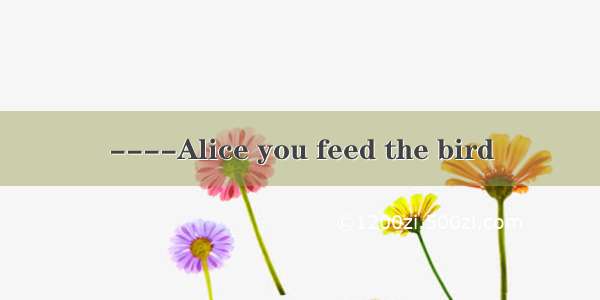 ----Alice you feed the bird