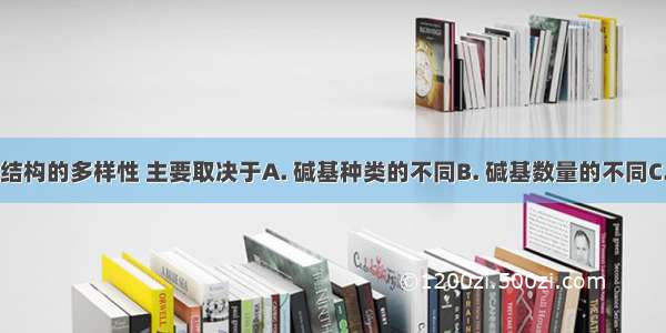 DNA分子结构的多样性 主要取决于A. 碱基种类的不同B. 碱基数量的不同C. 碱基序列