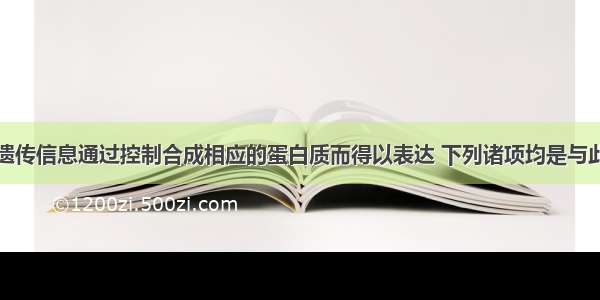 基因含有的遗传信息通过控制合成相应的蛋白质而得以表达 下列诸项均是与此过程有关的