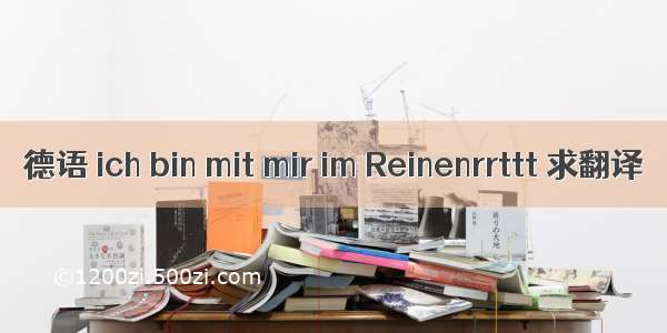 德语 ich bin mit mir im Reinenrrttt 求翻译