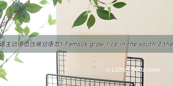 英语主动语态改被动语态1 Famous grow rice in the south 2 they