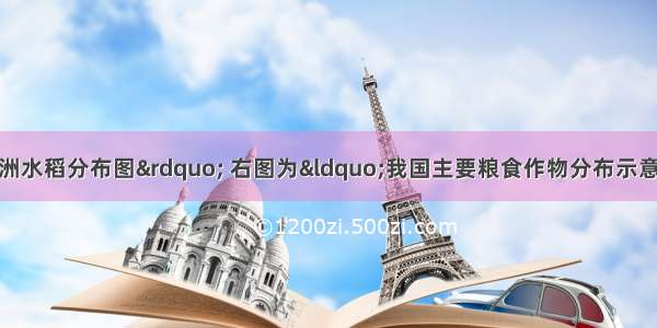 下图中左图为“亚洲水稻分布图” 右图为“我国主要粮食作物分布示意图”。读图完成下