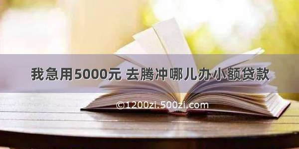 我急用5000元 去腾冲哪儿办小额贷款