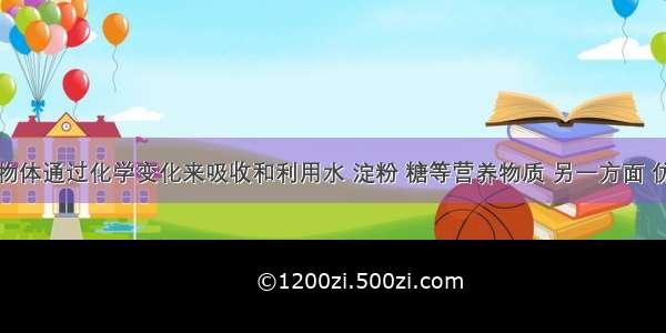 单选题生物体通过化学变化来吸收和利用水 淀粉 糖等营养物质 另一方面 仿生学还可