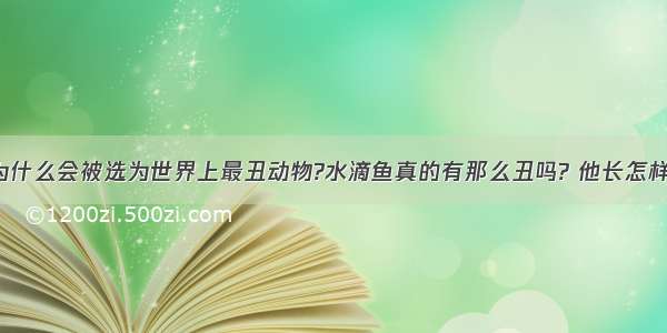 【水滴鱼为什么会被选为世界上最丑动物?水滴鱼真的有那么丑吗? 他长怎样呢? 除了他