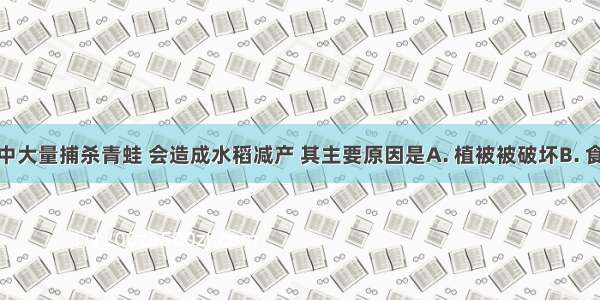 在水稻田中大量捕杀青蛙 会造成水稻减产 其主要原因是A. 植被被破坏B. 食物链被破