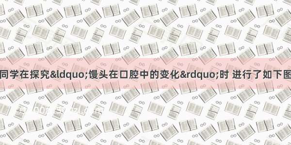 某生物兴趣小组的同学在探究“馒头在口腔中的变化”时 进行了如下图所示的实验。请分