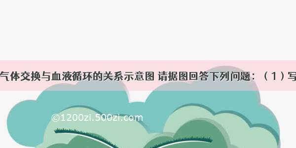 如图为体内气体交换与血液循环的关系示意图 请据图回答下列问题：（1）写出下列结构