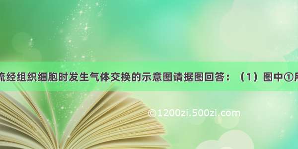 如图是血液流经组织细胞时发生气体交换的示意图请据图回答：（1）图中①所示呈两面凹