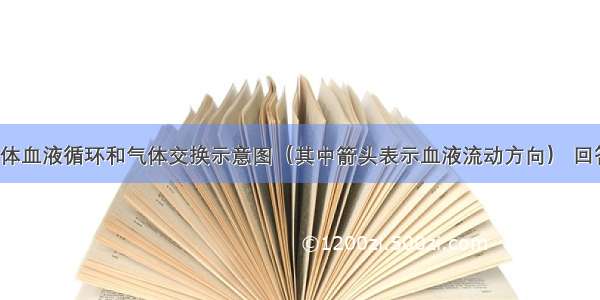 如图表示人体血液循环和气体交换示意图（其中箭头表示血液流动方向） 回答下列问题：