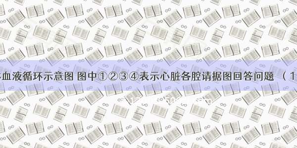 如图为人体血液循环示意图 图中①②③④表示心脏各腔请据图回答问题．（1）图中①是